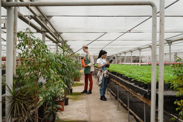 How can UK residents create an effective indoor herb garden with limited sunlight?