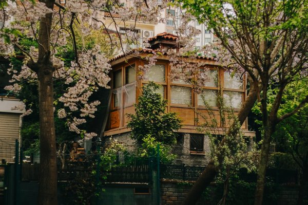 How can you create a pet-friendly garden in a UK townhouse?