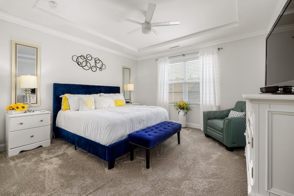 What are the best practices for maintaining a living wall in a small London apartment?